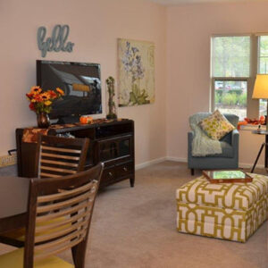 Living Options - Our Team